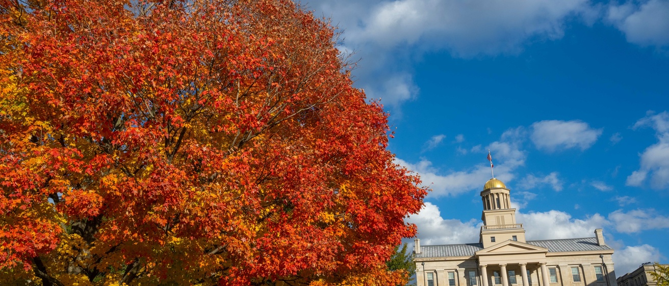 Fall on the Pentacrest - Tree with Red/Yellow Leaves